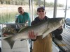 (11/14/2016) - Nice Striped Bass